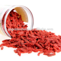 Getrocknete Goji-Beere Bio-Goji-Beere OEM-Lieferant